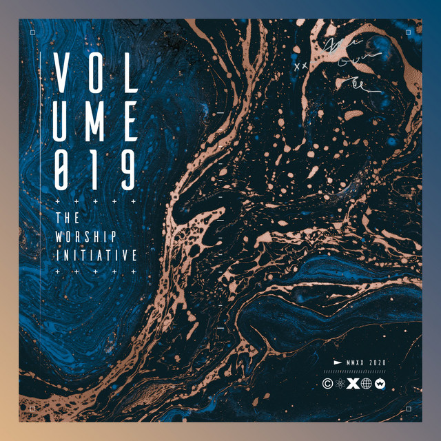 The Worship Initiative, Vol. 19 (Accompaniments) cover art