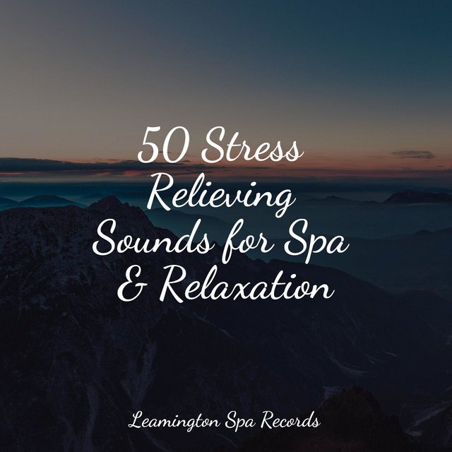 50 Stress Relieving Sounds for Spa & Relaxation - Album by Sleep Tight ...
