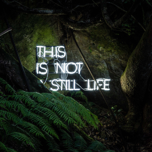 This Is Not a Still Life artwork