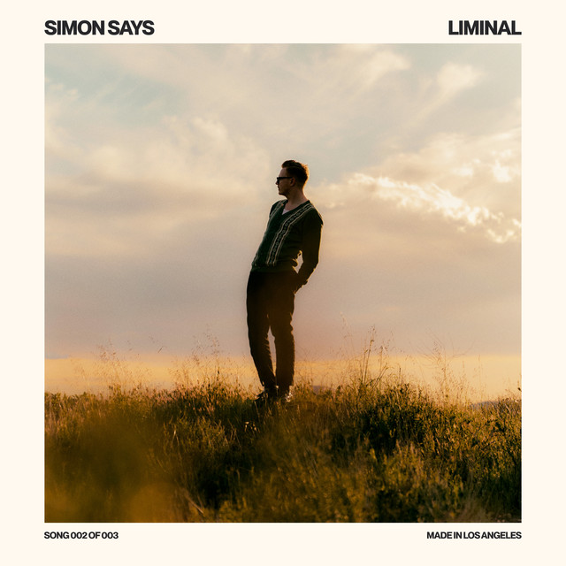 Simon Says album image