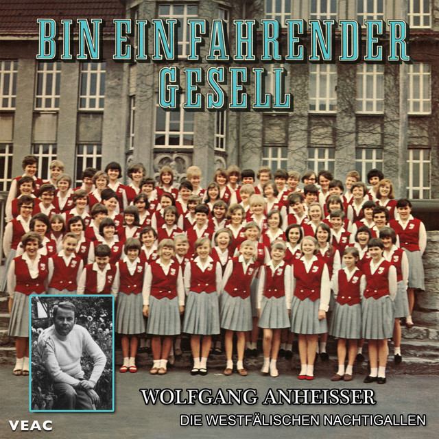 Bin ein fahrender Gesell cover art