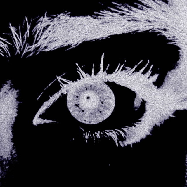 the sin you pray for cover art
