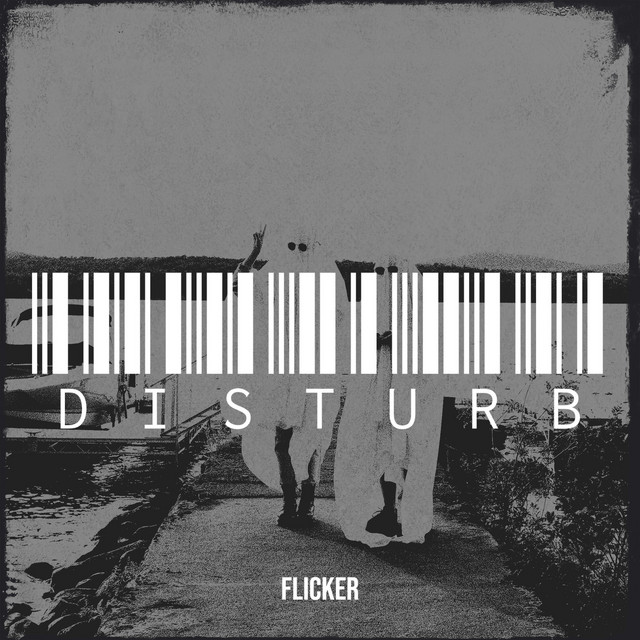 Обкладинка: Disturb — FLICKER