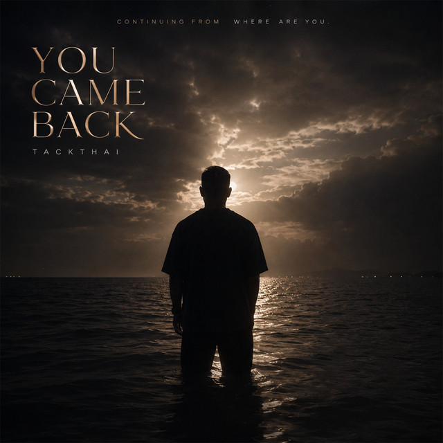 You Came Back - Extended Version cover art