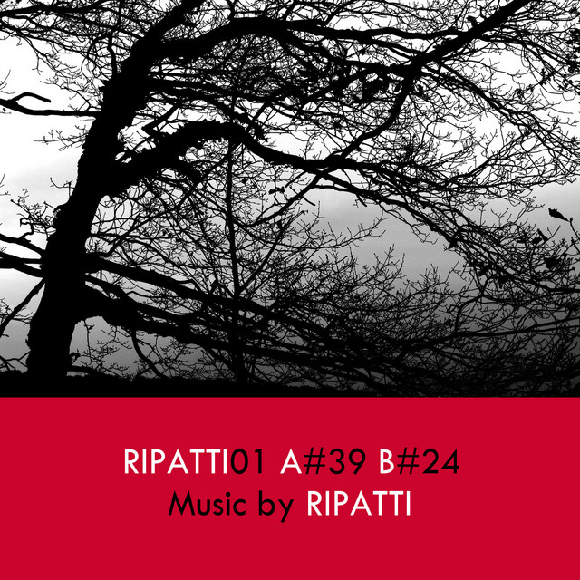 Ripatti01 cover art