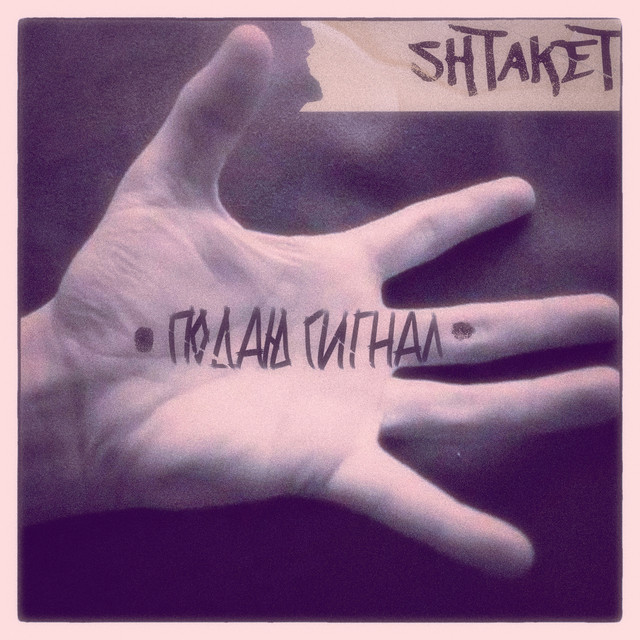 Обкладинка: Подаю сигнал — Shtaket