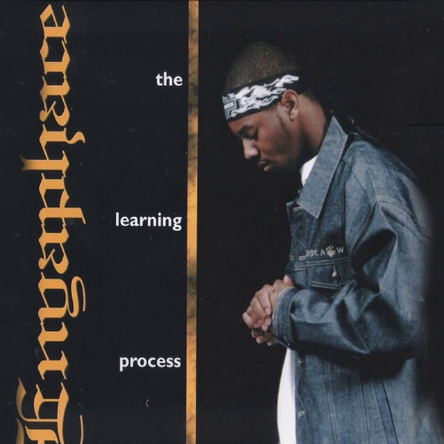 Synopsis (Intro) cover art