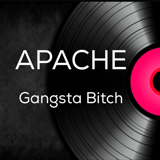 7インチ HIT ME WITH THAT / GANGSTA BITCH Gangsta Bitch - song and lyrics by Apache | Spotify