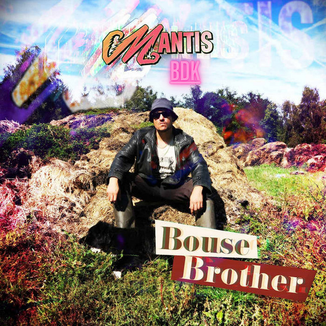 Bouse brother cover art