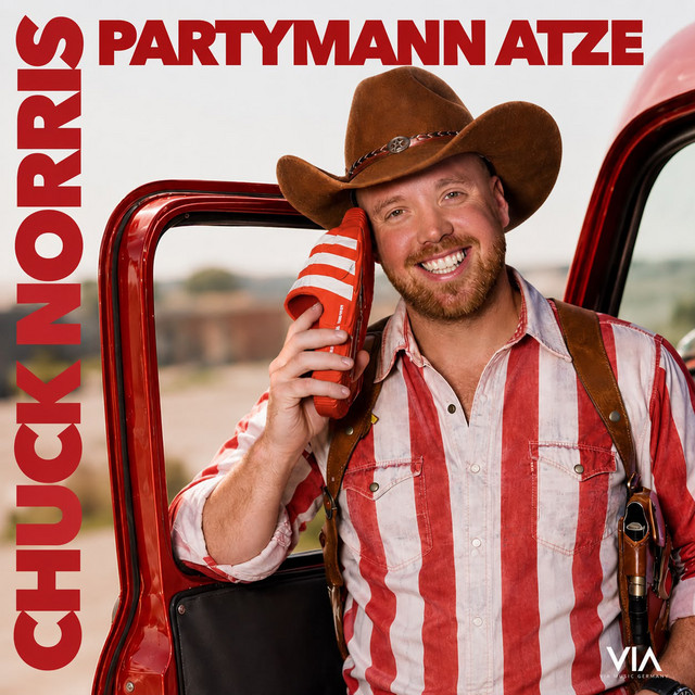Chuck Norris cover