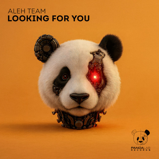Обкладинка: Looking for You — Aleh Team