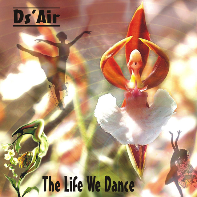 Ds'Air