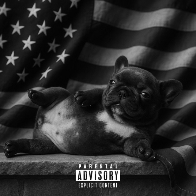 pibble and stuff cover art