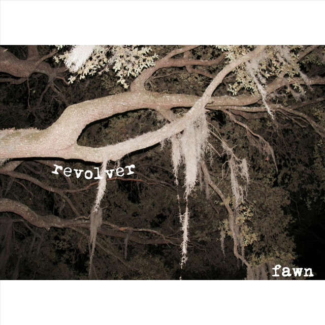 fawn