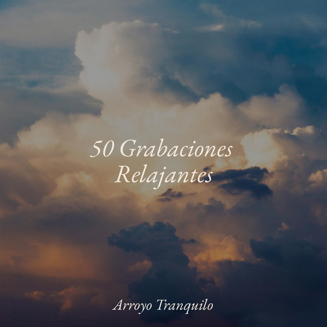50 Grabaciones Relajantes cover art