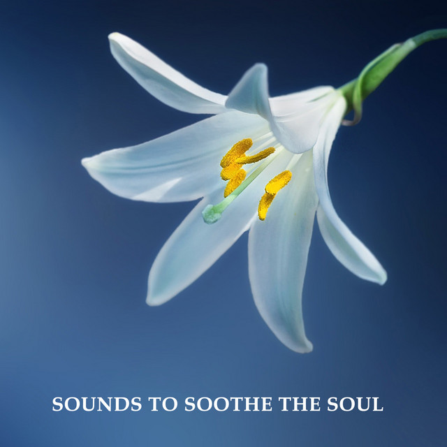 12 Sounds to Soothe the Soul cover art