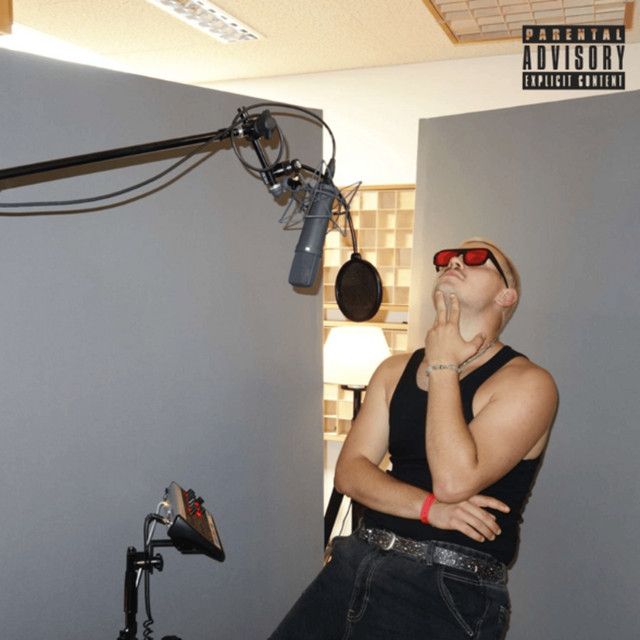 Schade :/ cover art