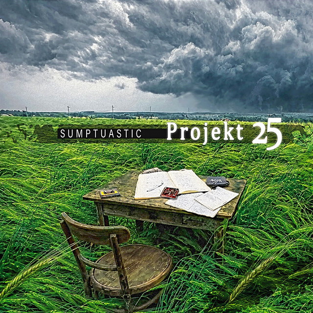 Okładka: Projekt 25