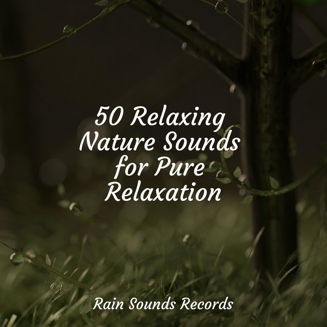 50 Relaxing Nature Sounds for Pure Relaxation - Album by Guided ...
