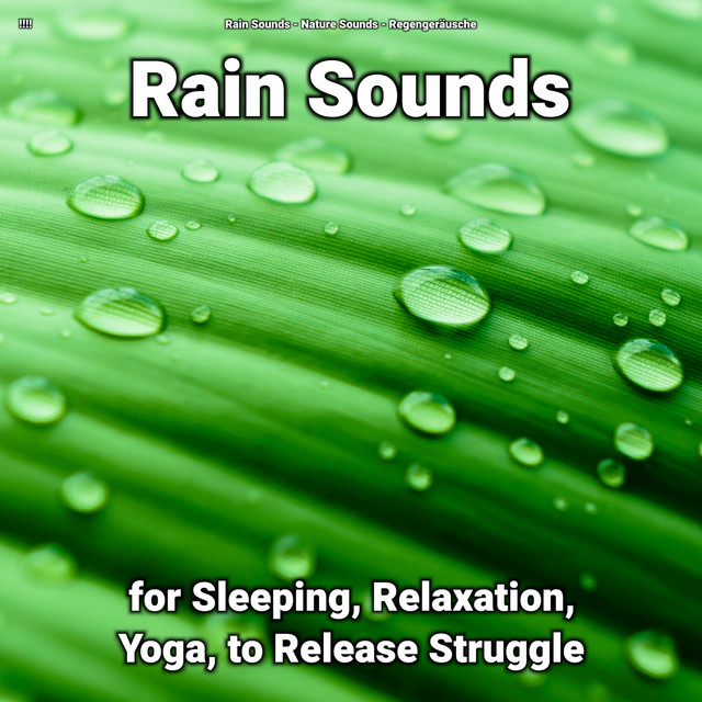 !!!! Rain Sounds for Sleeping, Relaxation, Yoga, to Release Struggle cover art