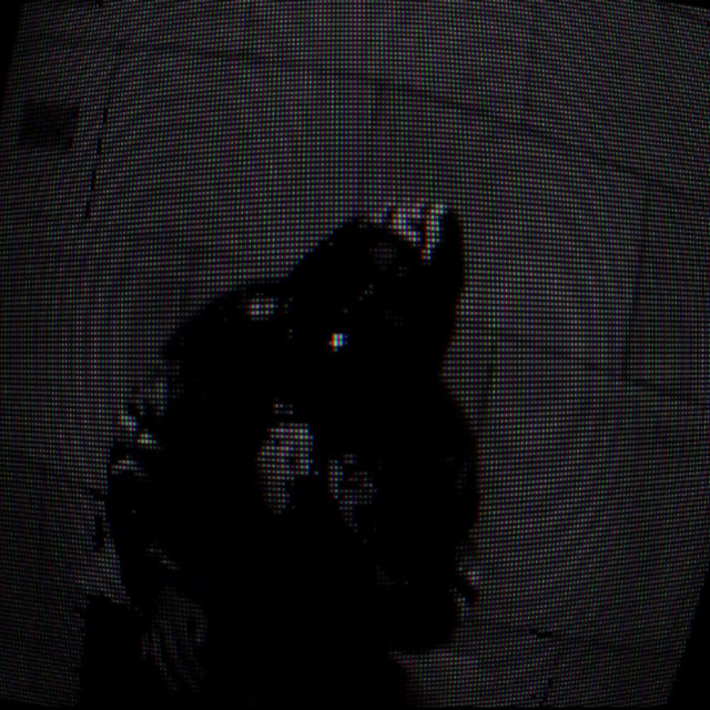 N(n) cover art