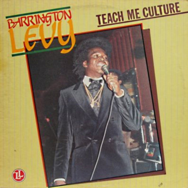 Teach Me Culture cover art
