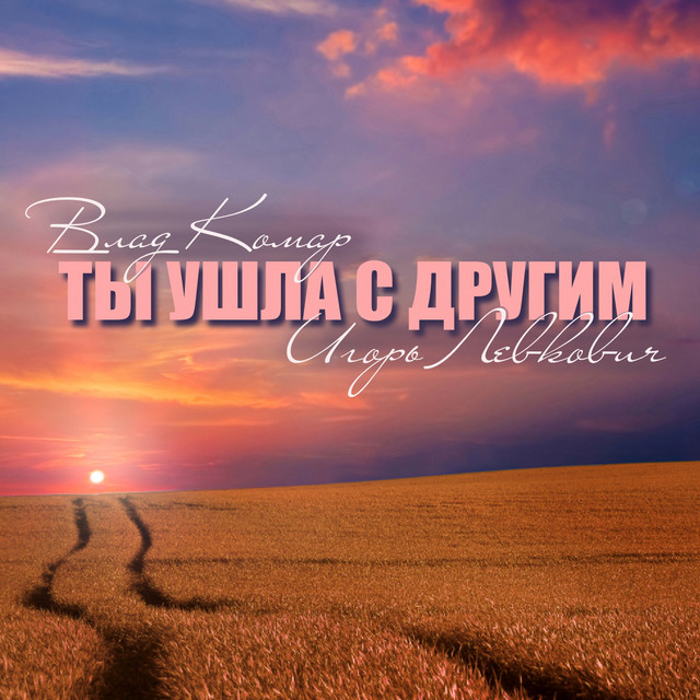Обкладинка: Ты ушла с другим — Влад Комар
