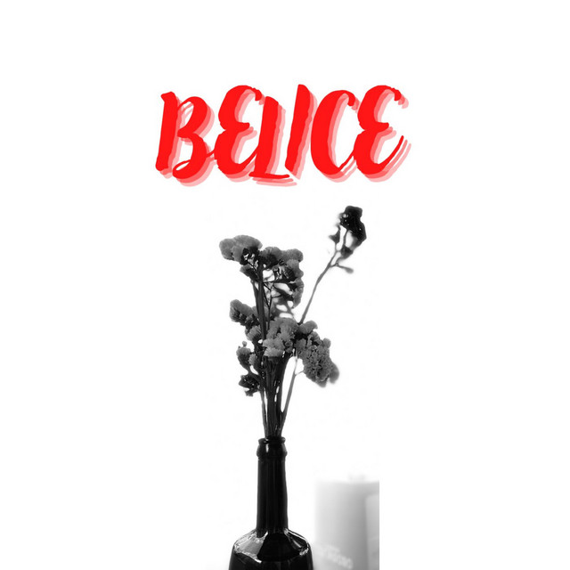 BELICE cover art