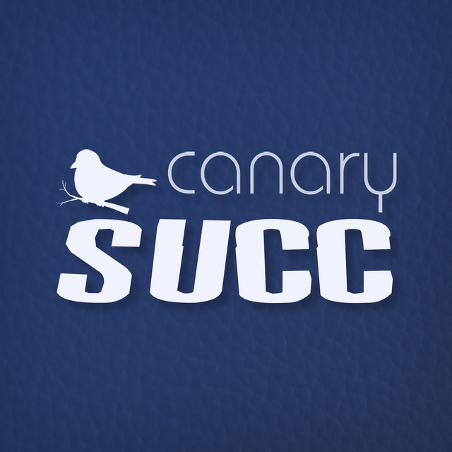 Succ cover art
