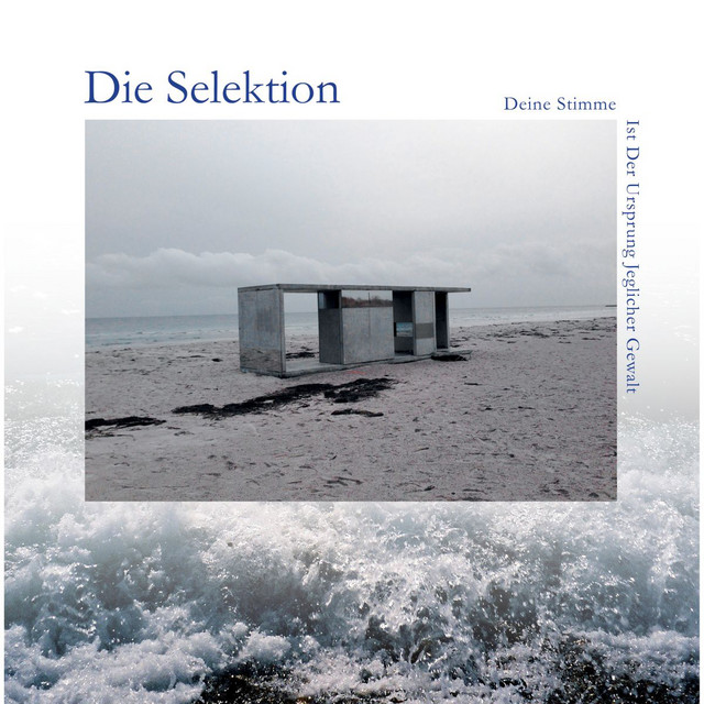 Deine Stimme ist der Ursprung jeglicher Gewalt cover art