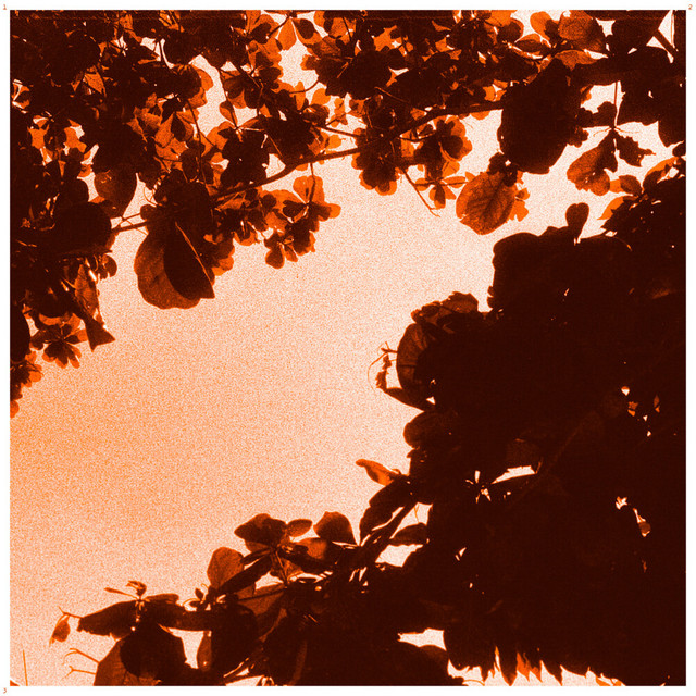 As Cinco Margens cover art