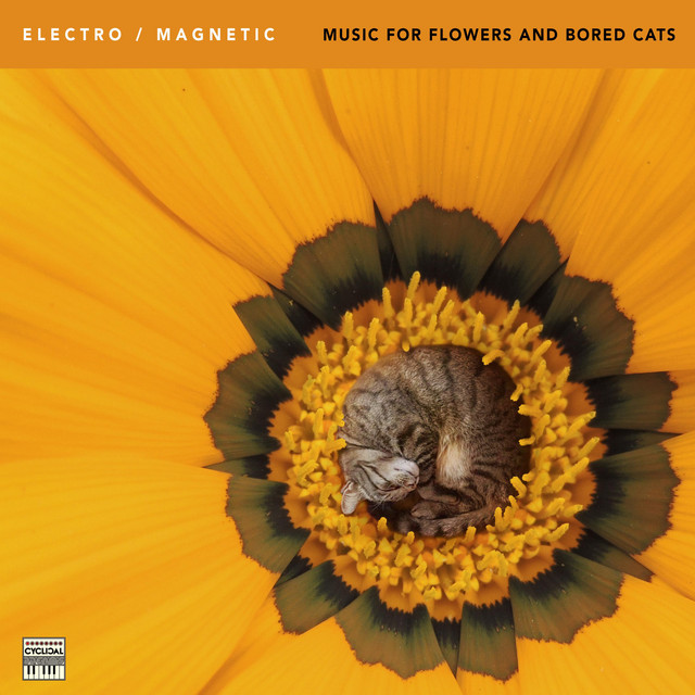 Music for flowers and bored cats cover art