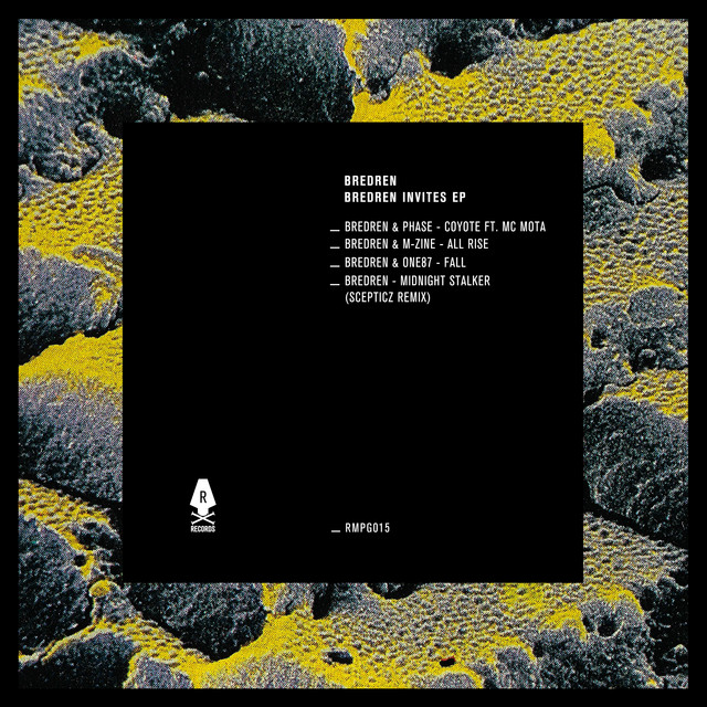 Midnight Stalker - Scepticz Remix album art