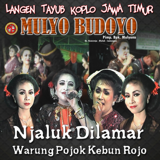 TAYUB MULYO BUDOYO, Vol. 1 cover art