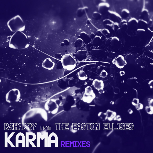 Karma - Echo2k Remix cover art