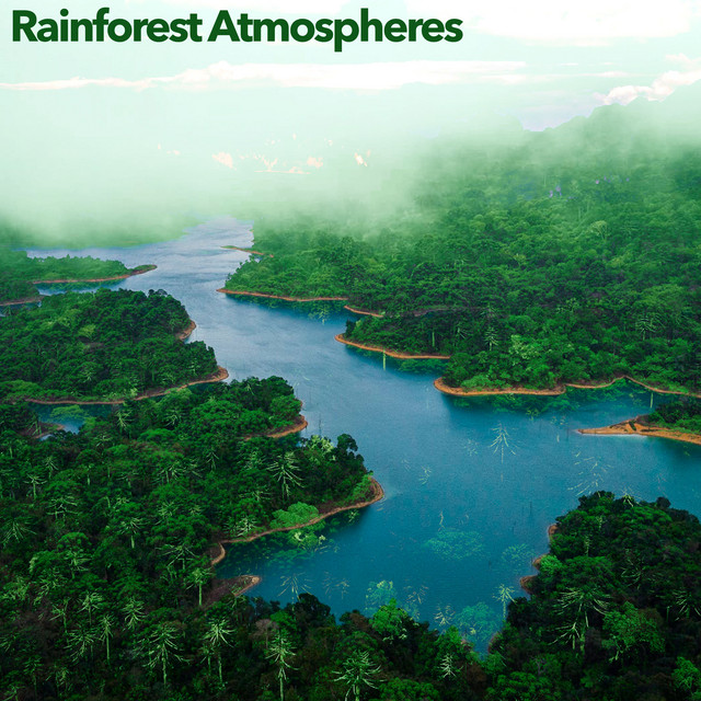 Rainforest Atmospheres cover art