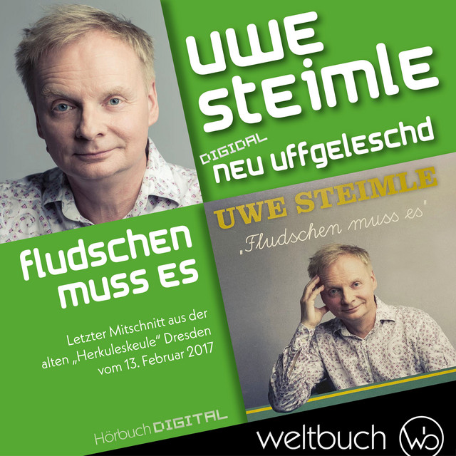 Uwe Steimle: Fludschen muss es (aus der Reihe: Digidal neu uffgeleschd) cover art