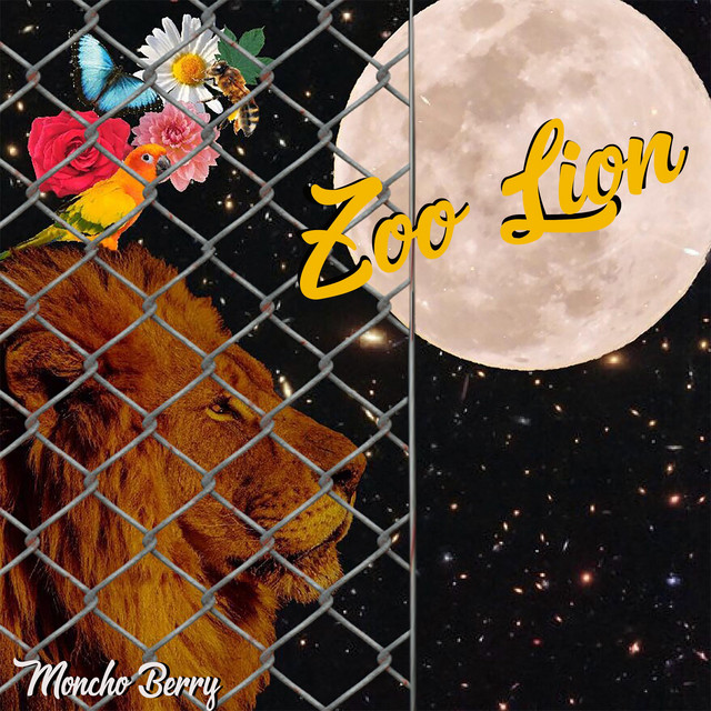 Zoo Lion cover art