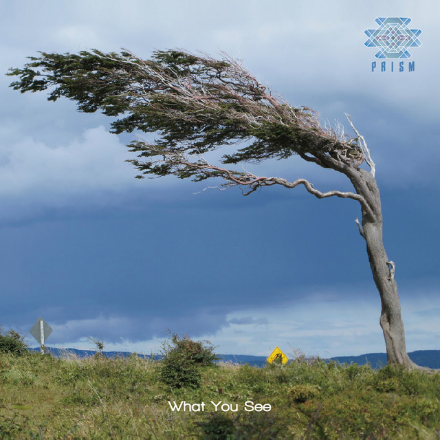 What You See cover art
