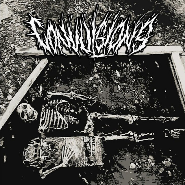 S/t cover art