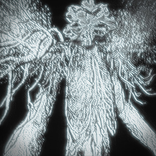 Viuna cover art