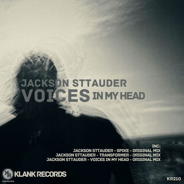 Voices In My Head cover art