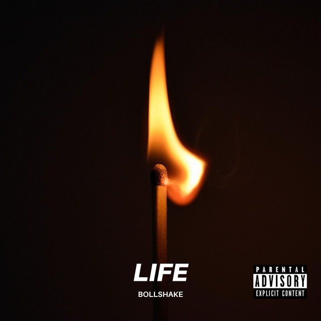 Life cover art