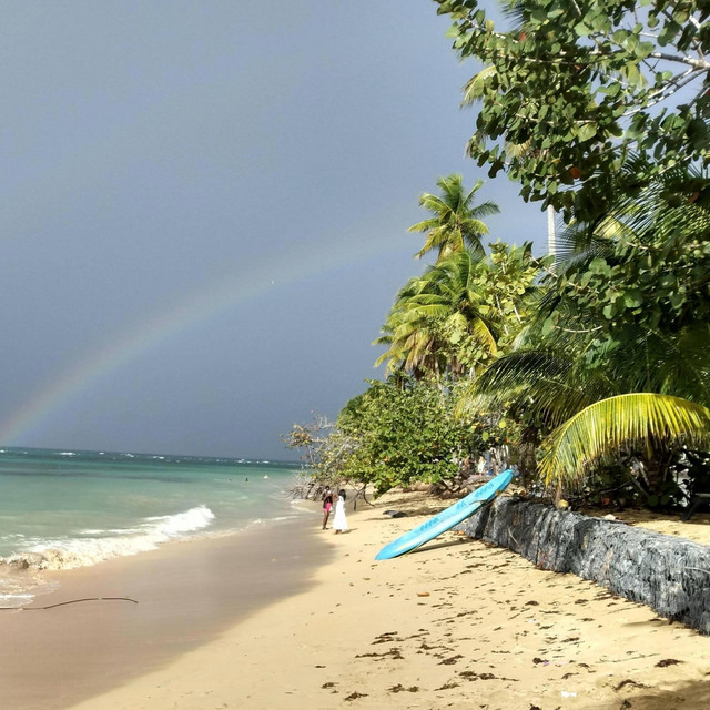 Donde El Verano Nunca Termina