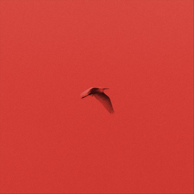 Lettere Animali cover art