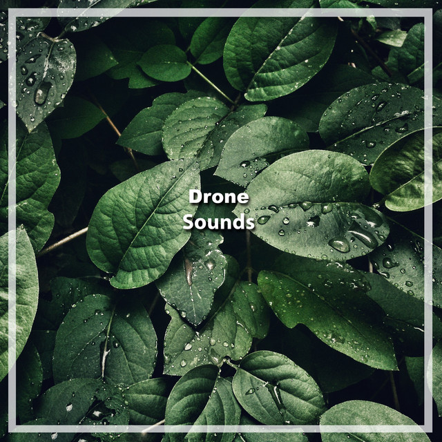 18 Relaxing Drones Sounds: Masterpieces cover art