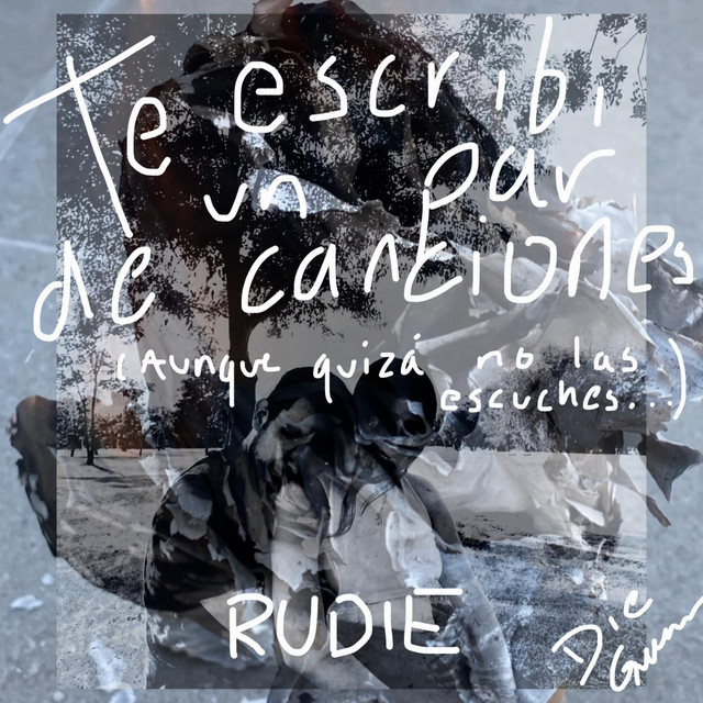 TE ESCRIBI UN PAR DE CANCIONES cover art