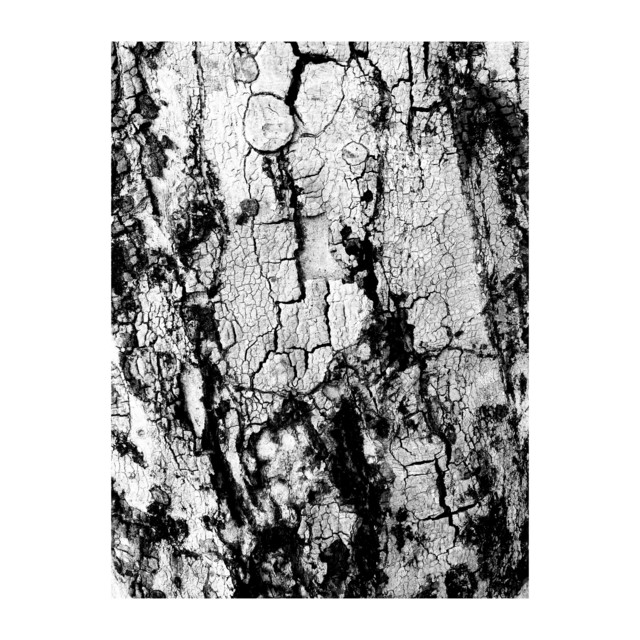 II demo cover art