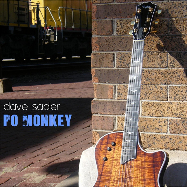 Po Monkey cover