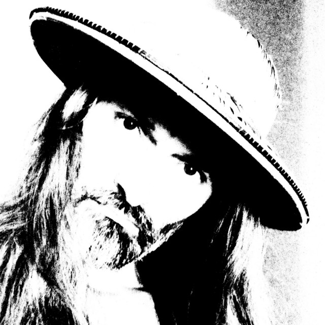 Trauerbirke cover